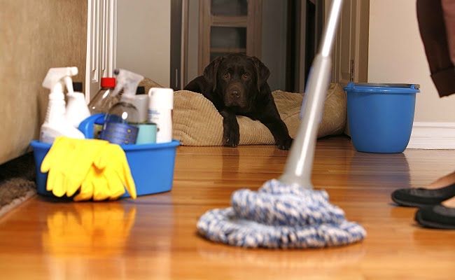 I rischi del pulire troppo la casa